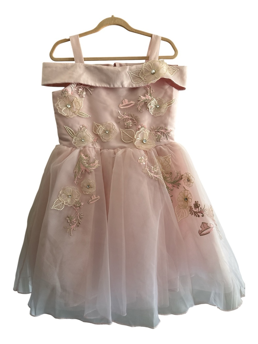 Disney Princess Aurora Blush Pink Floral Applique Tulle Embroidered Pearl Dress